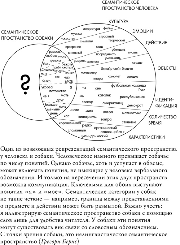 Что значит быть собакой. И другие открытия в области нейробиологии животных Что значит быть собакой. И другие открытия в области нейробиологии животных