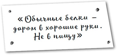 Давай притворимся, что этого не было