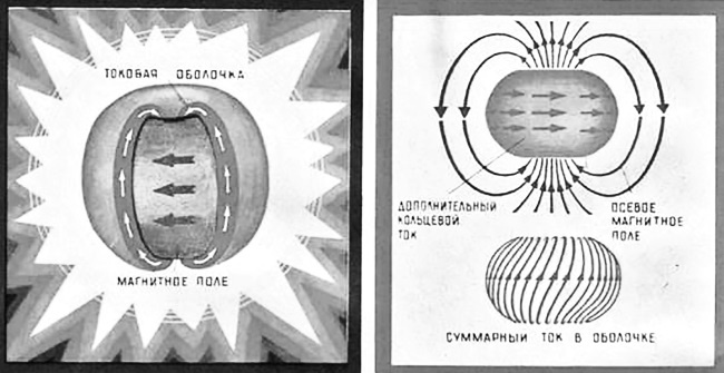 Человек 2050