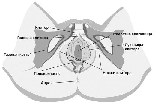 Чисто женская тема! Что должна знать каждая дама о своем здоровье