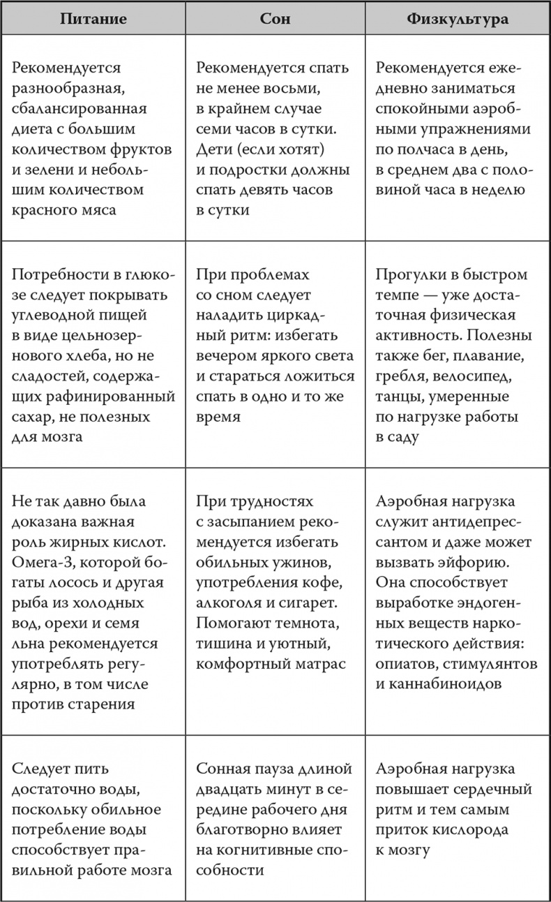 Мозг. Инструкция пользователя