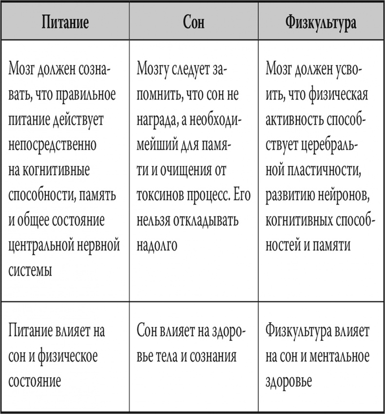 Мозг. Инструкция пользователя