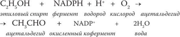 Предрассудки о здоровье. Жить надо с умом и правильно Предрассудки о здоровье. Жить надо с умом и правильно