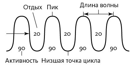Вдохновляющий лидер Вдохновляющий лидер
